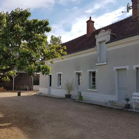 Gite Caves De Beauval Saint-Aignan  Exterior foto