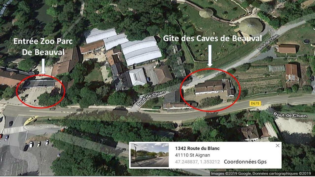 Caves De Beauval * Saint-Aignan (Loir-et-Cher)